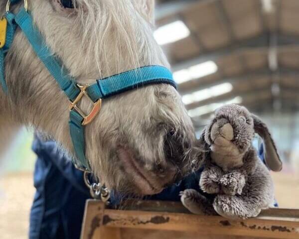 Cinders and easter bunny 2022