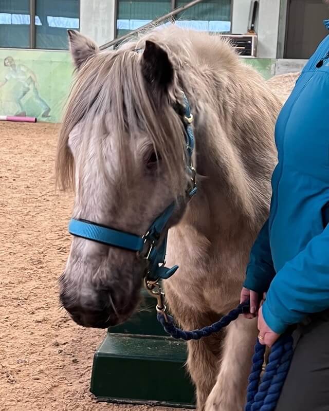Cinders by the mounting ramp