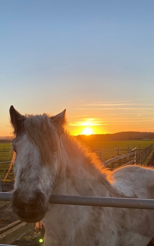 Cinders in the Sunset